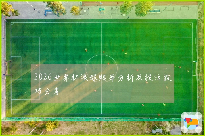 2026世界杯滚球赔率分析及投注技巧分享