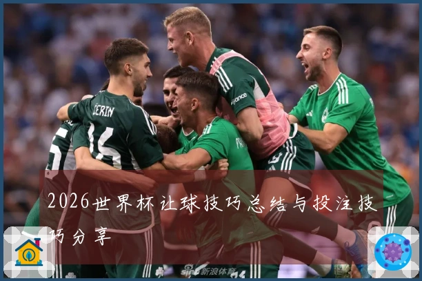 2026世界杯让球技巧总结与投注技巧分享