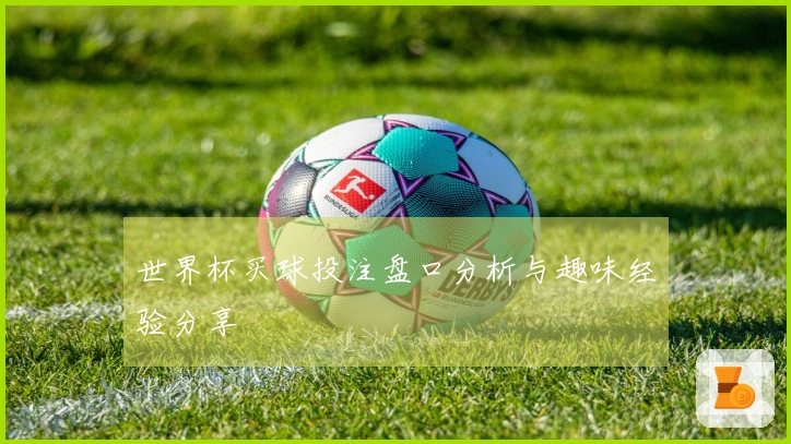 世界杯买球投注盘口分析与趣味经验分享