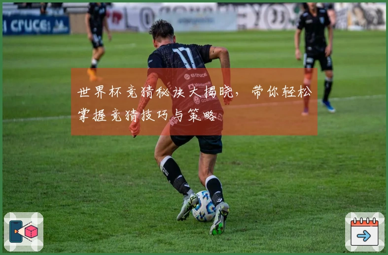 世界杯竞猜秘诀大揭晓，带你轻松掌握竞猜技巧与策略