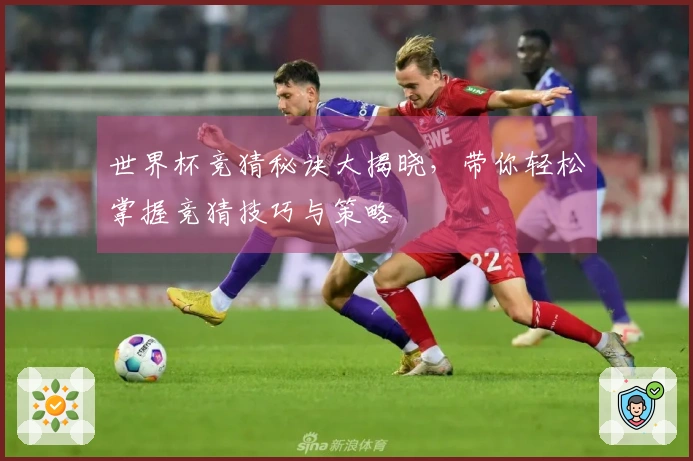 世界杯竞猜秘诀大揭晓，带你轻松掌握竞猜技巧与策略