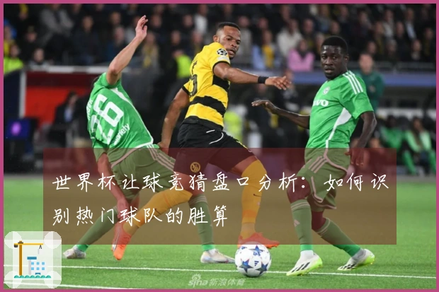 世界杯让球竞猜盘口分析：如何识别热门球队的胜算