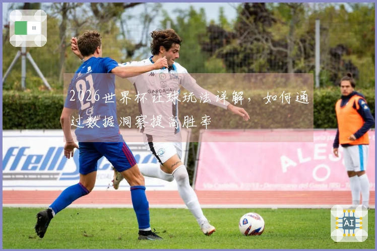 2026世界杯让球玩法详解，如何通过数据洞察提高胜率